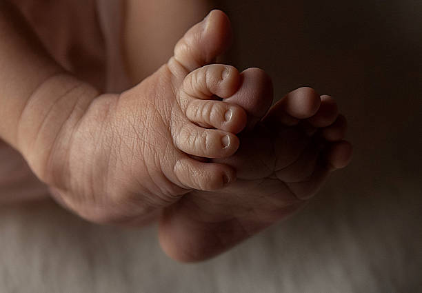 istock Close-up of newborn baby's feet on soft surface 2206412950