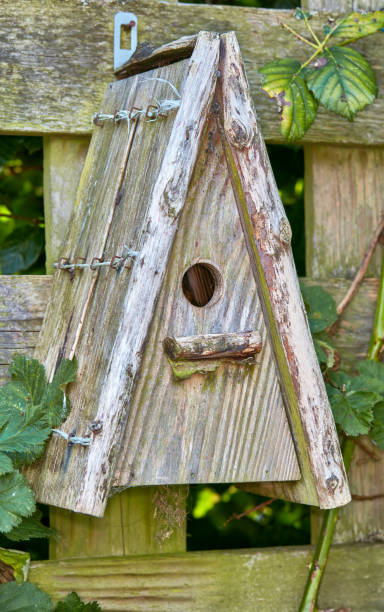 istock Rustic Wooden Birdhouse Hanging Outdoors Surrounded by Natural Greenery 2206417177