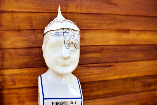 A Phrenology head wearing a Tin Foil hat. This image is for a conspiracy or logical thinking concept.