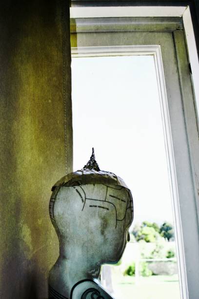 A Phrenology head wearing a tin foil hat looking out of a window. This is for a Conspiracy and Observation Concept.