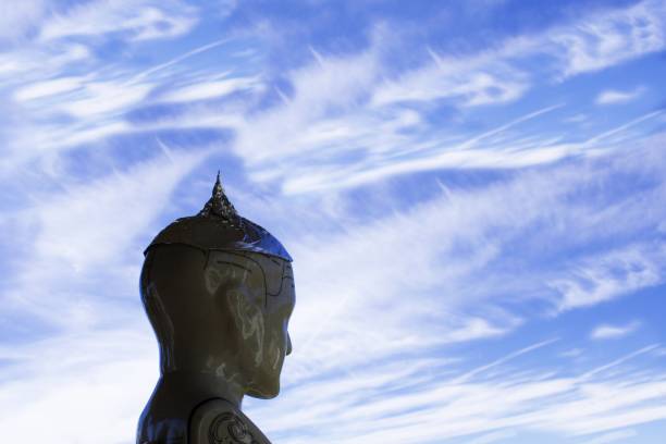 A Phrenology head wearing a tin foil hat looking out to the clouds in the sky. This image is for a conspiracy and observation concept.