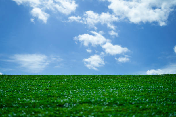 Summer grassy countryside. Peaceful grass hill. Grass pattern. Spring meadow. Sunny greenery field. Idyllic pasture. Green field texture. Meadow under sky. Green grass wallpaper. Grass background