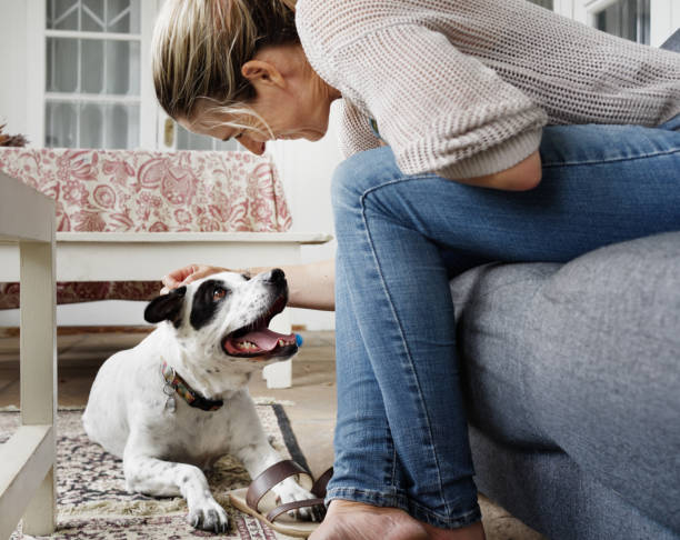 istock Woman Bonding with Her Dog in a Cozy Home Setting 2206426395