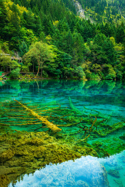istock Clear Lake and Forest Reflections in Jiuzhaigou 2206431365