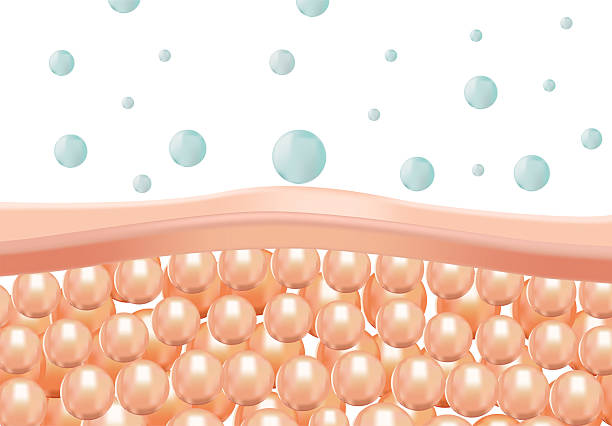 istock Serum molecules to repair damaged or dull skin layer to become healthier 2206432035