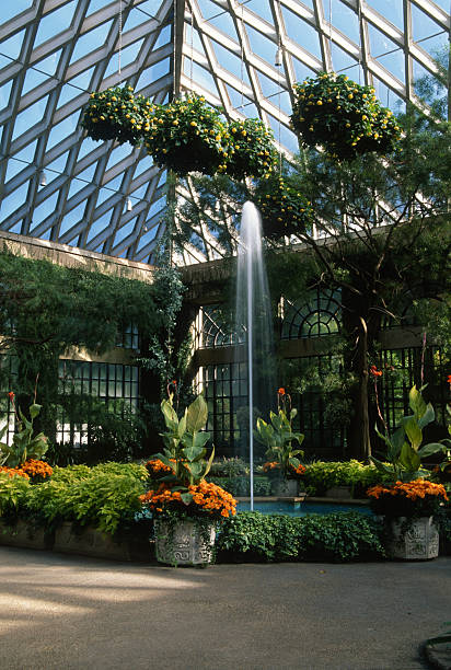 istock Fountain and flowers in a greenhouse 2206433819
