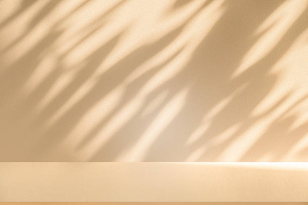 istock Studio style background wall decoration presentation uses white and beige tones. with shadows cast from a nearby window, concept creating a decorative 2206438178