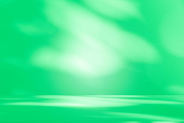 istock Studio style background wall decoration presentation uses white and green tones. with shadows cast from a nearby window, concept creating a decorative 2206438192