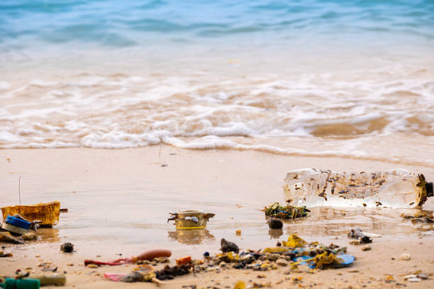 trash, plastic cups and plastic bags at the beach. environmental problem concept and healing the world