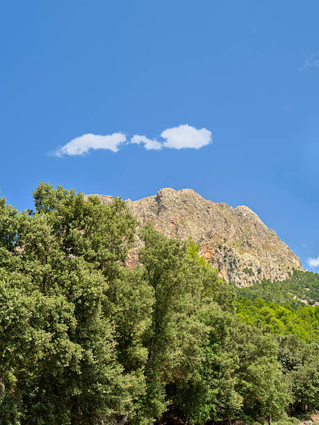 Capture of a mountain peak in Majorca, Spain, surrounded by lush green trees under a bright blue sky dotted with white clouds. Perfect representation of Mediterranean nature and tranquility.