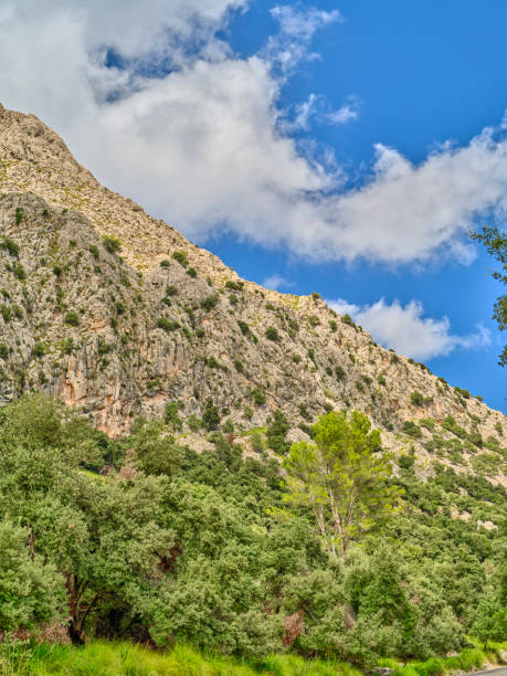 istock Serra de Tramuntana - Mallorca, Spain 2206438841