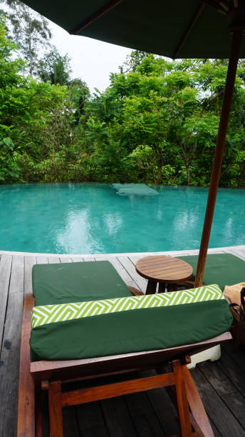 istock Luxuy Hotel Pool in Bali 2206439618
