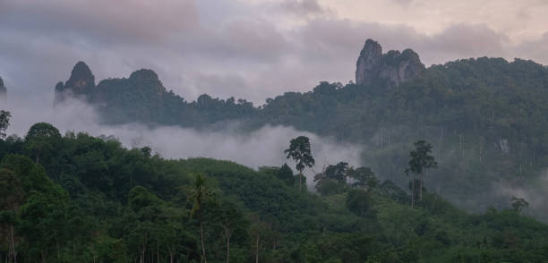 istock Misty Mountain Landscape at Dawn 2206442186