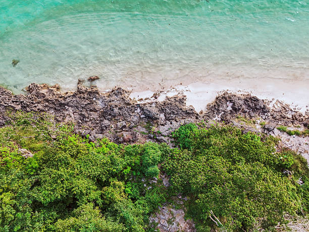Stunning coastal island with translucent blue waters, rugged rock formations, and tropical greenery.