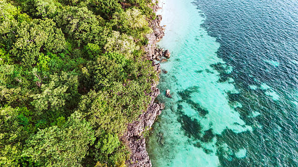 istock tropical paradise island with shimmering blue waters, steep cliffs, and dense green island vegetation. 2206444127