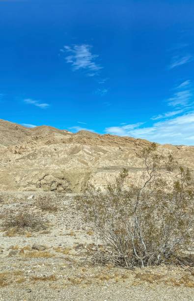 istock Anza Borrego Desert California 2206445776