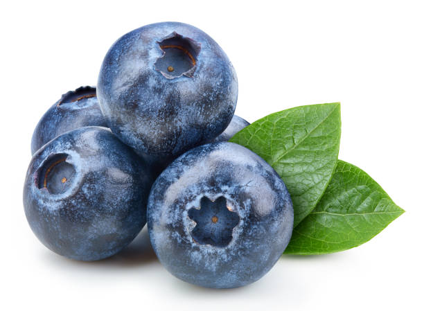 istock Organic blueberry isolated on white background 2206447558