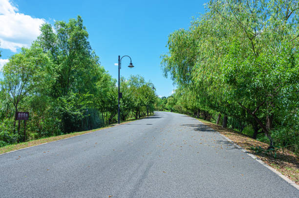 Asphalt road and green forest landscape under the blue sky