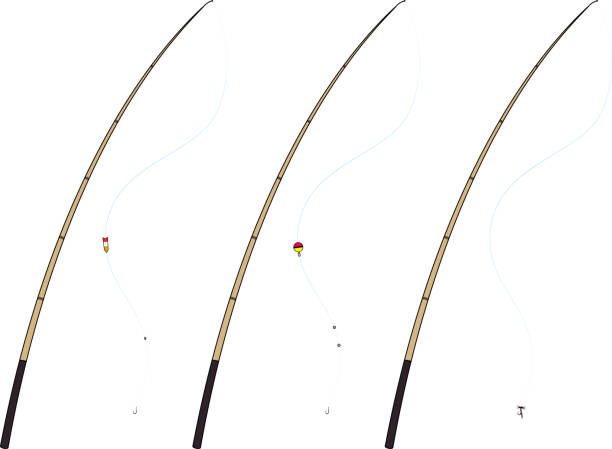 istock Illustration of river fishing tackle 2206451234