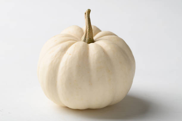 istock White Jack be little pumpkin on white background 2206458855