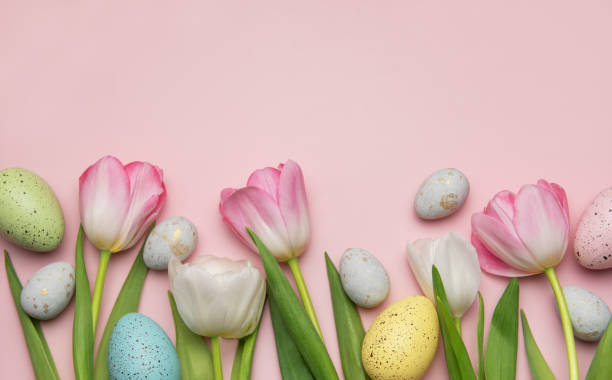 istock Easter eggs and tulips creating a festive spring border on pink background 2206465231