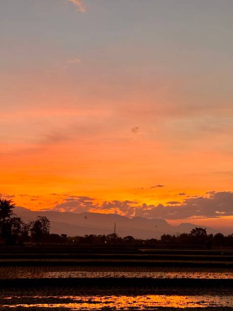 istock A serene sunset over a rural landscape with silhouetted trees and distant mountains. 2206465939