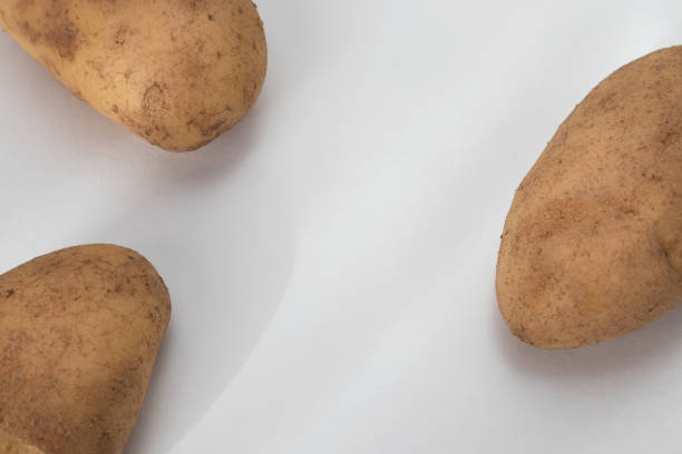 New, fresh potatoes with earth particles, organic potatoes, highlighted on a white background with a place for text in the middle.