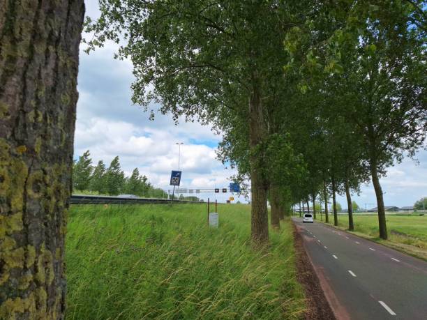 istock Small country road in the Zuidplaspolder 2206471513