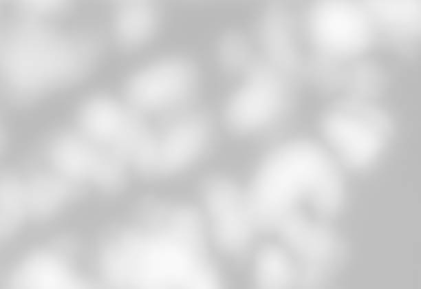 istock Shadow of leaves tree plant overlay on white wall. 2206473483