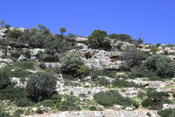 istock Crete Myli Canyon near Rethymno 2206475168