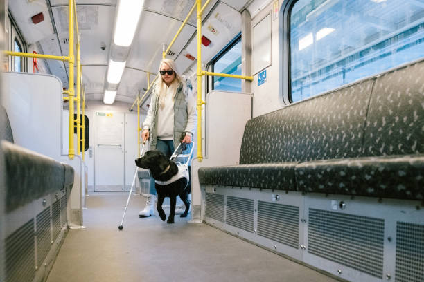 public transportation