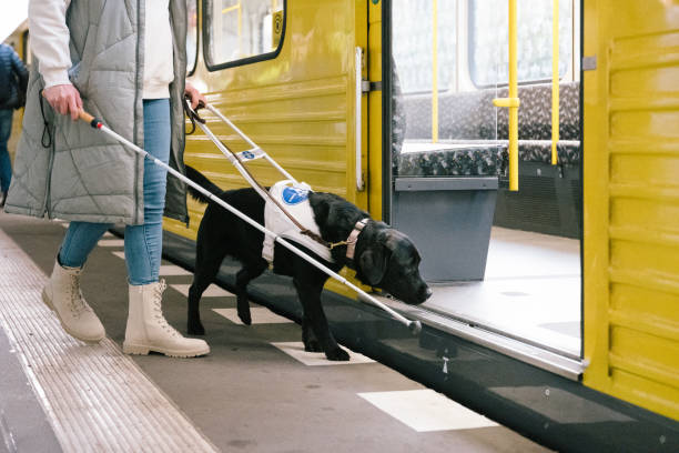 istock Seeing eye dog guides a person with visual impairment into a subway 2206476834