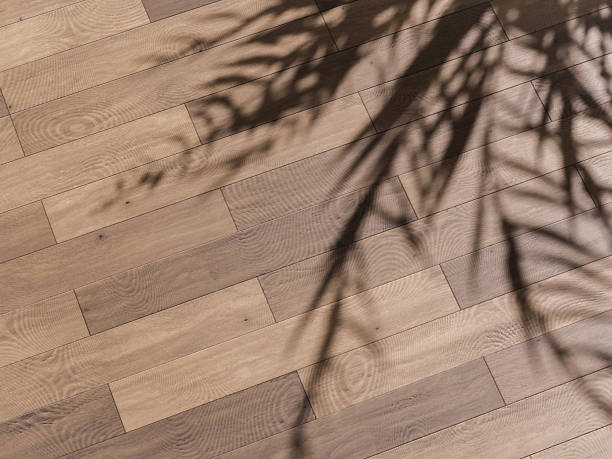 istock Palm leaf casting a shadow on a light wooden floor, creating an elegant natural pattern. 2206478481