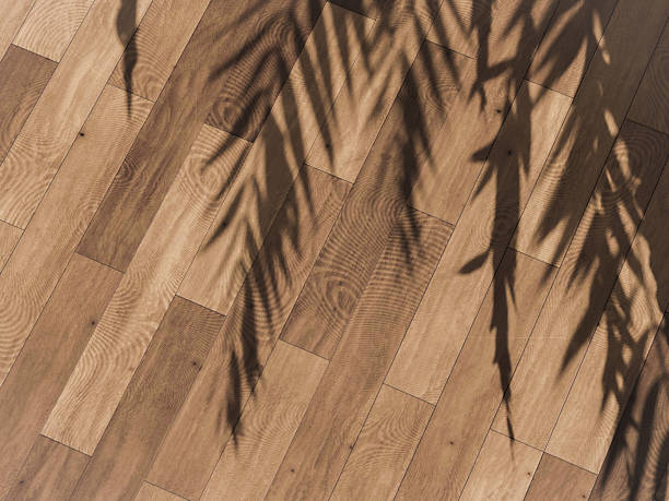istock Palm leaf shadow gently falls on a wooden floor, adding depth to the natural scene. 2206478489