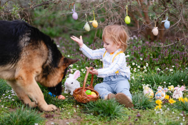 istock Cute little boy and a dog playing with Easter eggs in the garden 2206478496