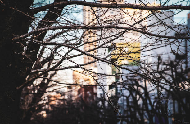 Winter feels in Meguro River Tokyo Japan.