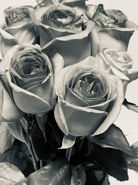 Beautiful floral arrangements used as table decorations at a wedding ceremony. The image captures the romantic and festive atmosphere of a wedding, featuring carefully arranged flowers that add elegance and charm to the celebration. Perfect for themes related to weddings, event planning, floral design, and special occasions.