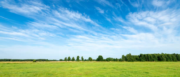 istock Beautiful summer day over green fields against blue cloudy sky - panorama 2206483437