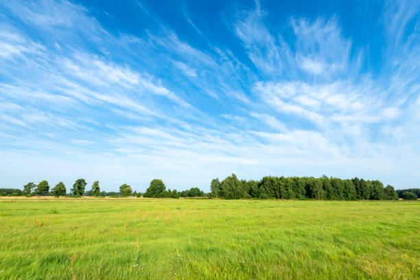 istock Beautiful summer day over green fields against blue cloudy sky 2206483628