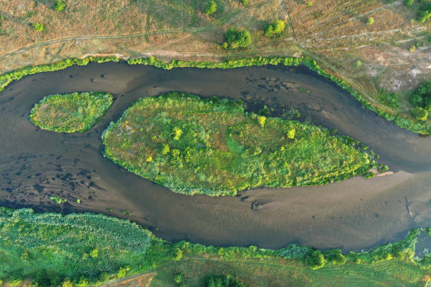 istock Aerial view of natural river during morning 2206483917