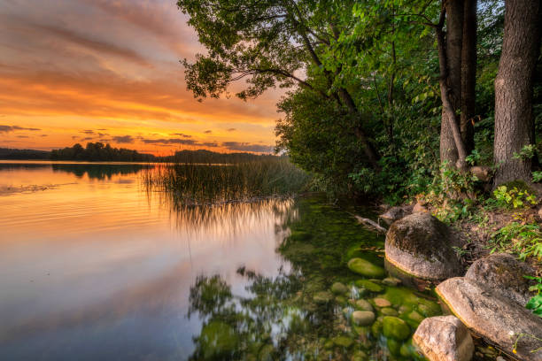 istock Beautiful summer sunrise over the lake 2206484012