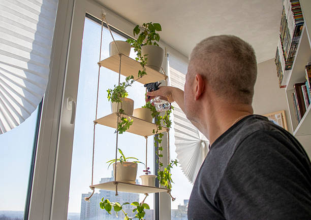 istock Man spraying indoor plants on the windowsill on decorative shelf. Interior 2206484259