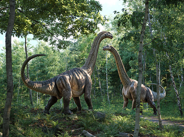 istock Realistic dinosaurs in lush green forest, 2206484735