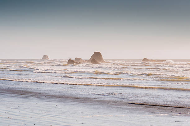 beach in oregon at dusk