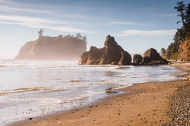 istock beach in oregon at dusk 2206486957