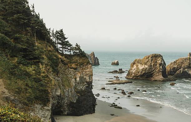 istock beach in oregon at dusk 2206486962