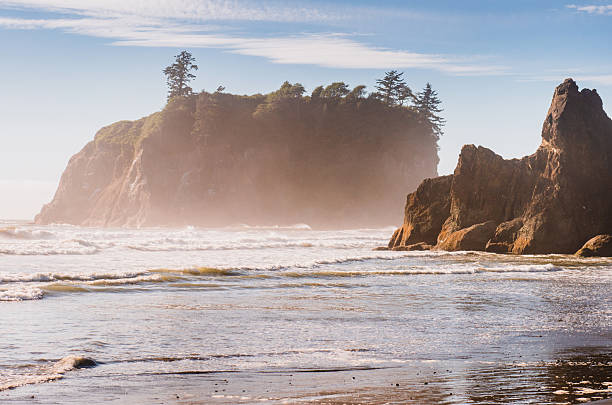 istock beach in oregon at dusk 2206487000
