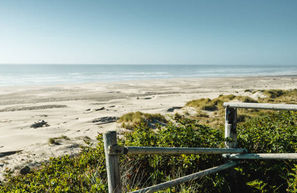 Sand Dunes