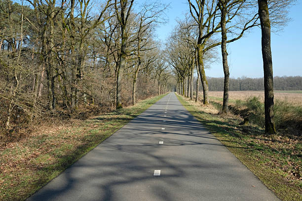 istock Empty road through the countryside of the Netherlands with trees on both sides 2206491228