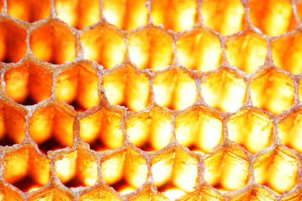 Intricate close-up view of honeycomb showcasing its warm golden colors and unique hexagonal pattern, highlighting the beauty of nature's architecture.